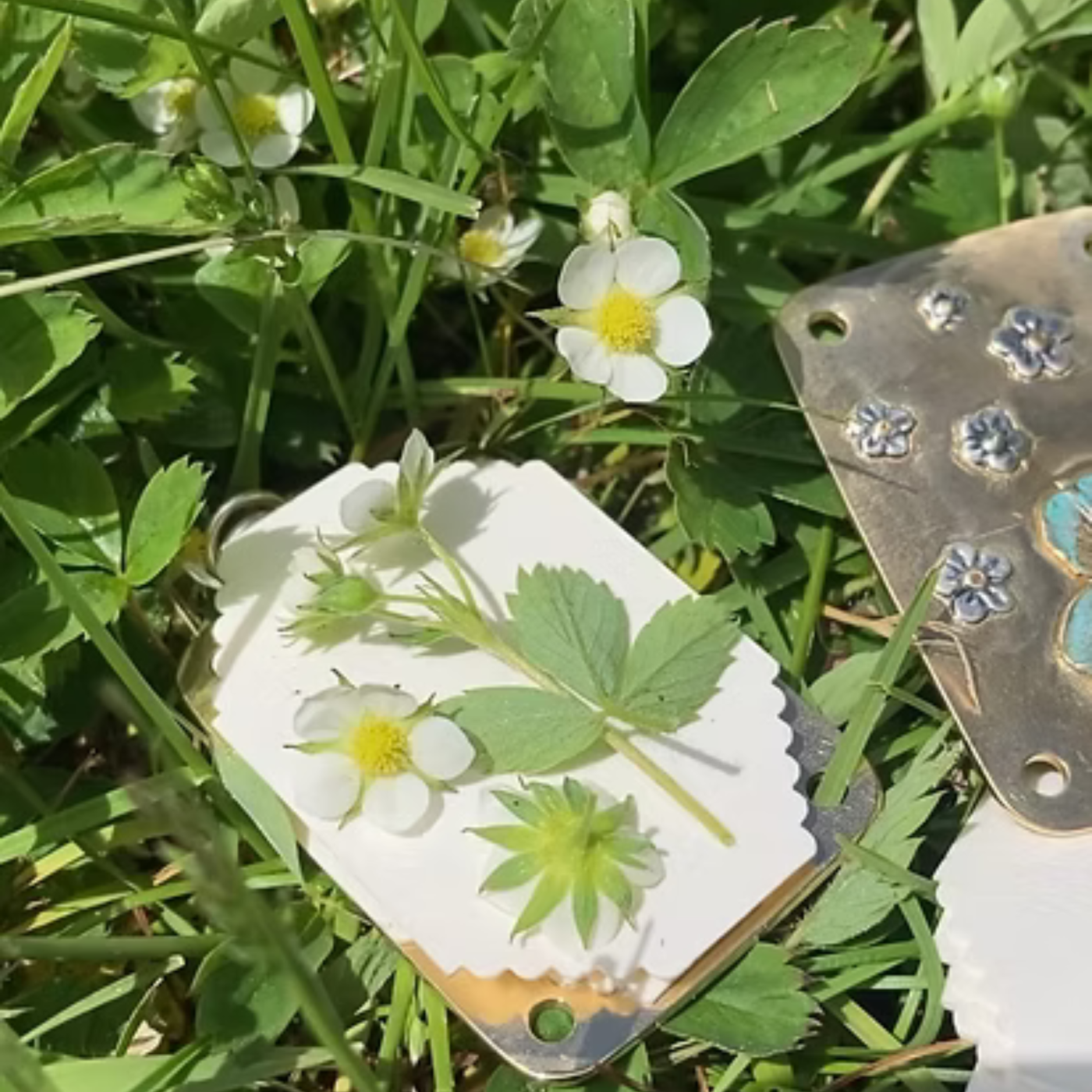 Left Behind™ Mini Flower Press