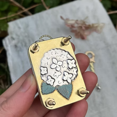 Hydrangea